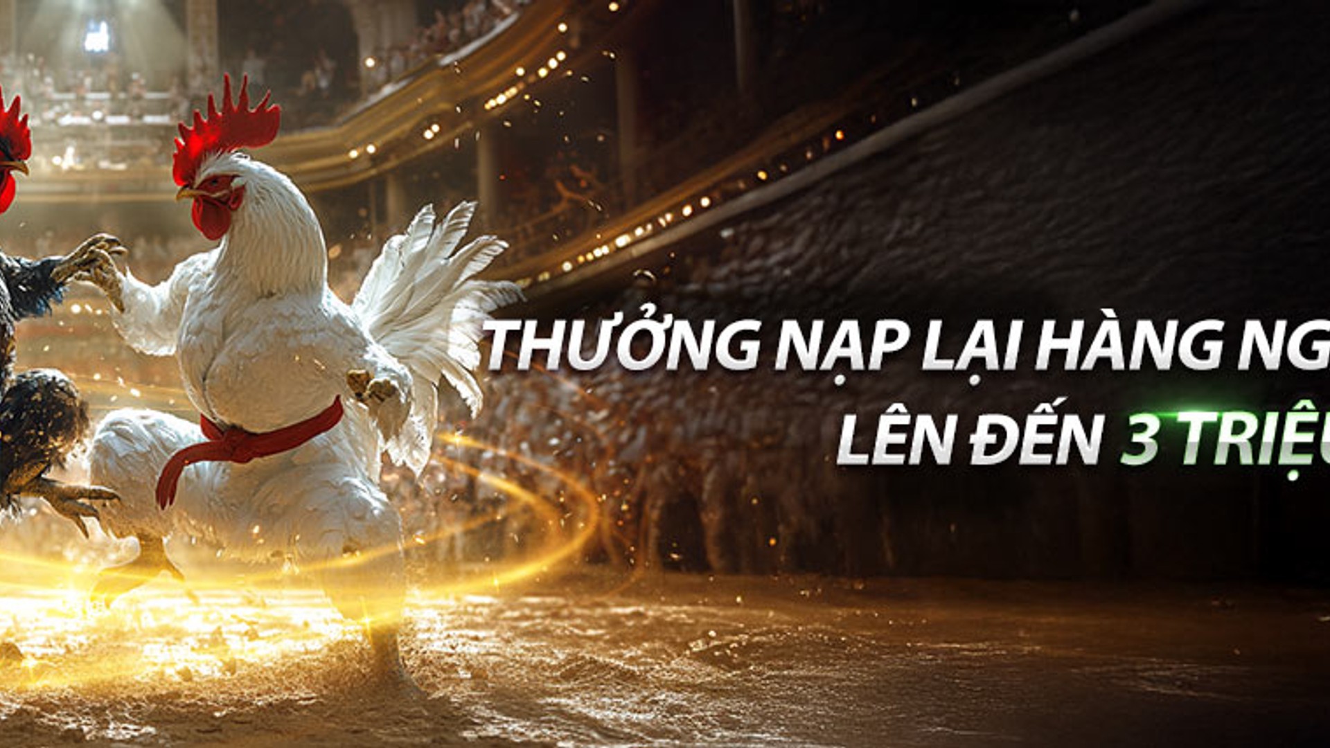 Đá gà trực tuyến xoso66