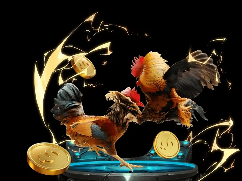 Kiểm tra giấy phép và chứng nhận để tránh lừa đảo tại xoso66